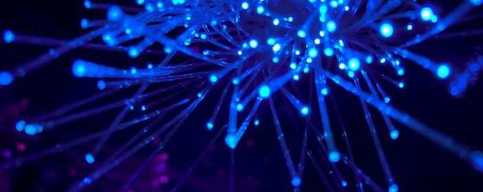 Dark Fiber